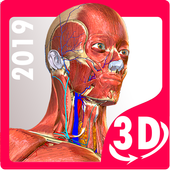Anatomy Learning - 3D Atlas