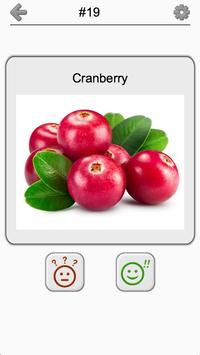 Fruit and Vegetables, Nuts and Berries: PictureQuiz ScreenShot1