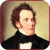 Franz Schubert Classic