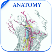 Grays Anatomy - Atlas || Offline || Free
