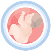 HiMommy - Pregnancy Tracker App