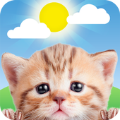 Weather Kitty - Forecast, Radar and Cat Pictures
