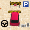 Advanced Car Parking