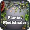 Plantas Medicinales y Curativas