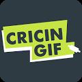 Cricingif - Live Cricket App