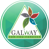 Glaze Galway