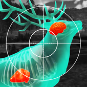 Wild Hunt:Sport Hunting Games. Hunter and Shooter 3D