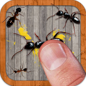 Ant Smasher by Best Cool and Fun Games