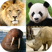 Animals Quiz  Learn All Mammals, Birds and more!