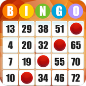 Bingo  Free Bingo Games