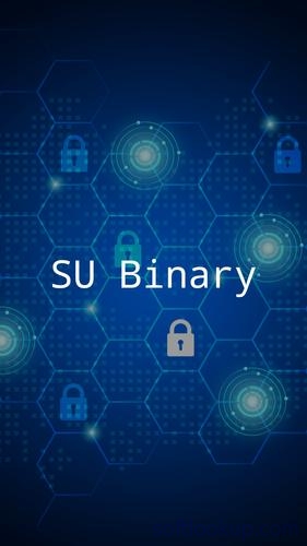 SU Binary Check