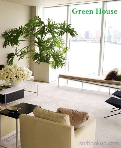 Indoor plants