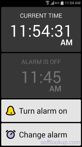 BIG Alarm