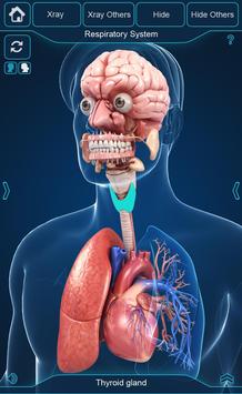 My Organs Anatomy