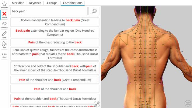 Visual Acupuncture 3D