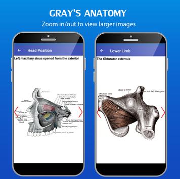 Grays Anatomy - Atlas