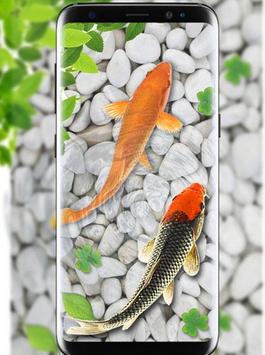 Fish Live Wallpaper 2018: Aquarium Koi Backgrounds