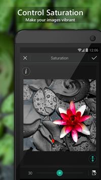 PhotoDirector Photo Editor App, Picture Editor Pro