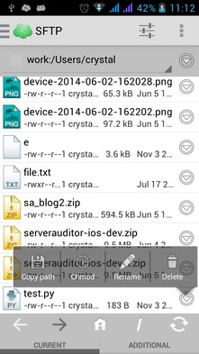 Server Auditor - SSH Terminal