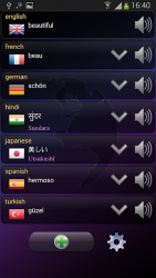 Q Multi Language Translator