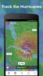 Windy: wind, waves and hurricanes forecast