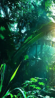 Jungle Live Wallpaper