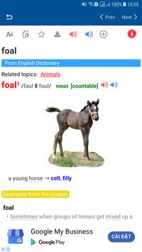 Longman Dictionary English