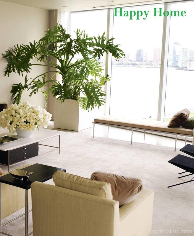 Indoor plants