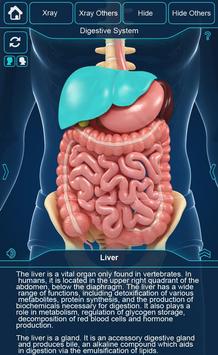 My Organs Anatomy