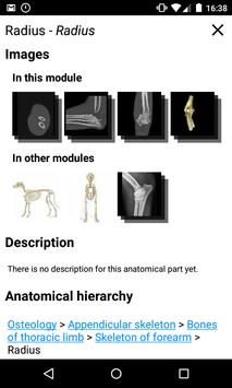 vet-Anatomy