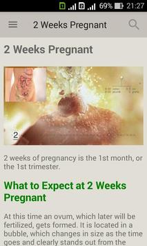 Pregnancy week by week. Expecting baby. Diary