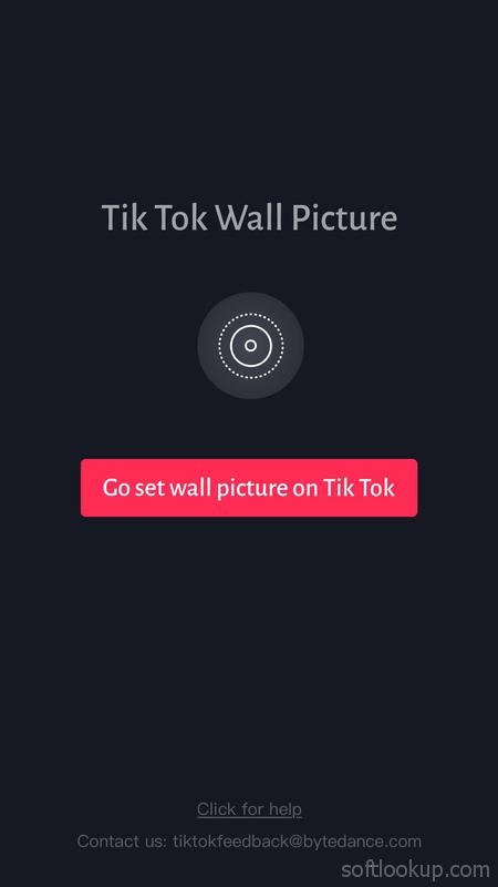 TikTok Wall Picture