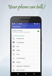 Voice Phone
