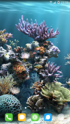 Underwater World Live Wallpaper