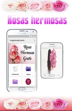 Imagenes De Rosas Hermosas Gratis Para Dedicar