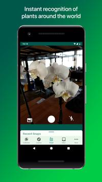 PlantSnap - Identify Plants, Flowers, Trees and More