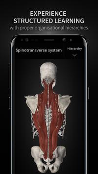 Anatomyka - Interactive 3D Human Anatomy