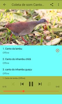 Canto de Lambu