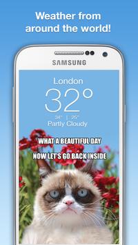 Grumpy Cat Weather